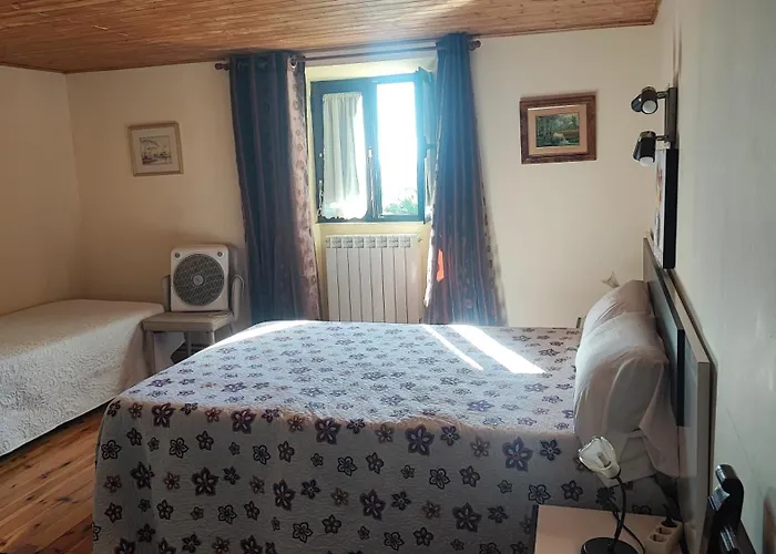 Boomerang - Quintanapalla